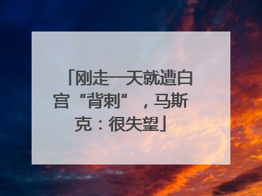 刚走一天就遭白宫“背刺”，马斯克：很失望
