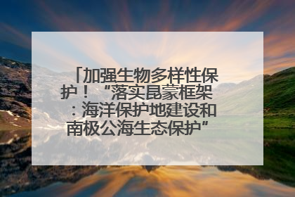 加强生物多样性保护！“落实昆蒙框架：海洋保护地建设和南极公海生态保护”主题论坛将举办
