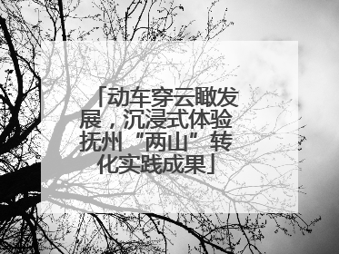动车穿云瞰发展，沉浸式体验抚州“两山”转化实践成果