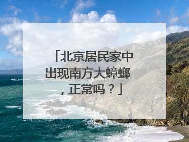 北京居民家中出现南方大蟑螂,正常吗?