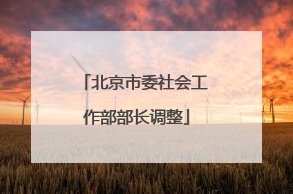 北京市委社会工作部部长调整