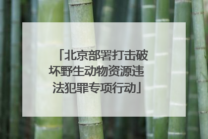 北京部署打击破坏野生动物资源违法犯罪专项行动