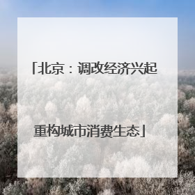 北京：调改经济兴起 重构城市消费生态
