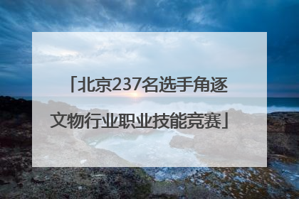 北京237名选手角逐文物行业职业技能竞赛