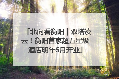 北向看衡阳｜双塔凌云！衡阳首家超五星级酒店明年6月开业