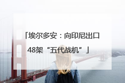 埃尔多安：向印尼出口48架“五代战机”