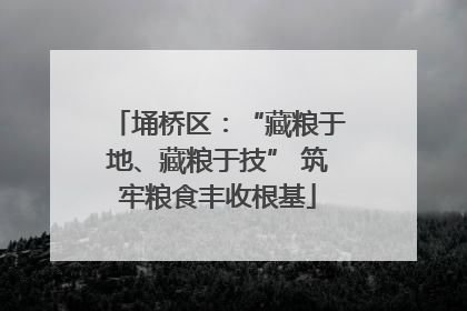 埇桥区：“藏粮于地、藏粮于技” 筑牢粮食丰收根基