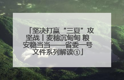 坚决打赢“三夏”攻坚战丨麦穗沉甸甸 粮安稳当当——省委一号文件系列解读①
