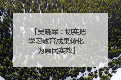 吴晓军：切实把学习教育成果转化为惠民实效