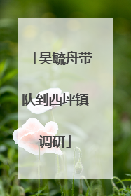 吴毓舟带队到西坪镇调研