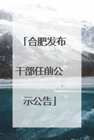 合肥发布干部任前公示公告