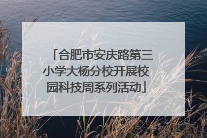 合肥市安庆路第三小学大杨分校开展校园科技周系列活动