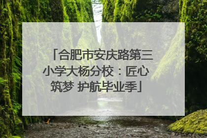 合肥市安庆路第三小学大杨分校：匠心筑梦 护航毕业季