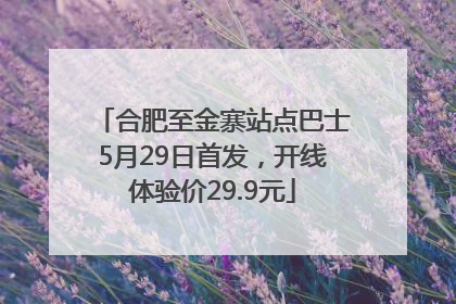 合肥至金寨站点巴士5月29日首发，开线体验价29.9元