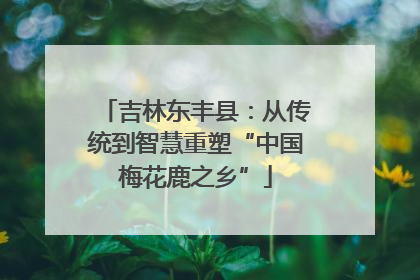 吉林东丰县：从传统到智慧重塑“中国梅花鹿之乡”