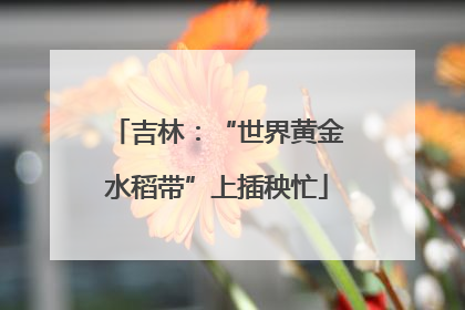 吉林：“世界黄金水稻带”上插秧忙