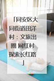 同安区大同街道田洋村：文旅出圈 网红村探索长红路