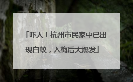 吓人！杭州市民家中已出现白蚁，入梅后大爆发