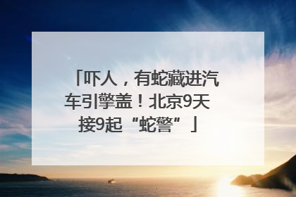 吓人，有蛇藏进汽车引擎盖！北京9天接9起“蛇警”