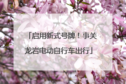 启用新式号牌！事关龙岩电动自行车出行