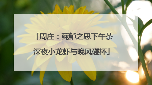 周庄：莼鲈之思下午茶 深夜小龙虾与晚风碰杯