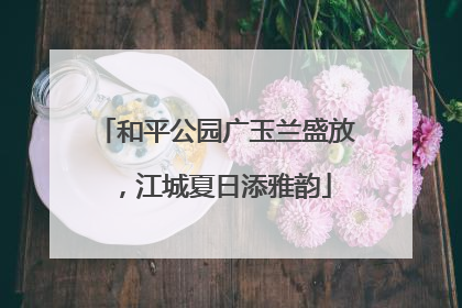 和平公园广玉兰盛放，江城夏日添雅韵