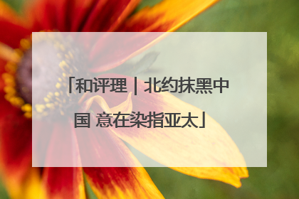 和评理｜北约抹黑中国 意在染指亚太