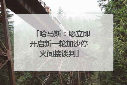 哈马斯：愿立即开启新一轮加沙停火间接谈判