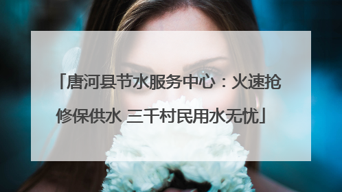 唐河县节水服务中心：火速抢修保供水 三千村民用水无忧