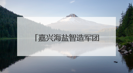 嘉兴海盐智造军团，全省“出圈”