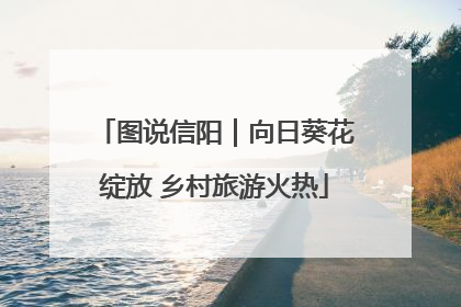 图说信阳｜向日葵花绽放 乡村旅游火热