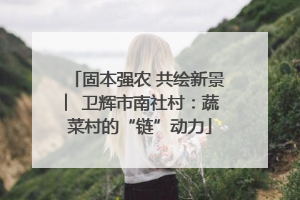 固本强农 共绘新景 ︳卫辉市南社村：蔬菜村的“链”动力