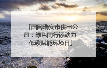 国网瑞安市供电公司：绿色同行添动力 低碳赋能环境日