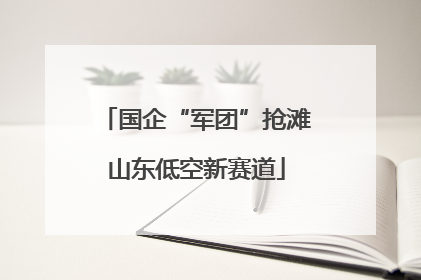 国企“军团”抢滩山东低空新赛道