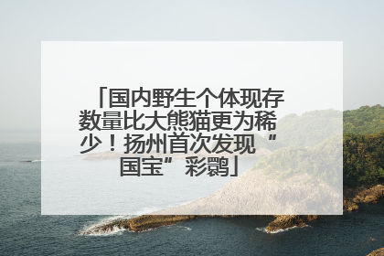 国内野生个体现存数量比大熊猫更为稀少！扬州首次发现“国宝”彩鹮