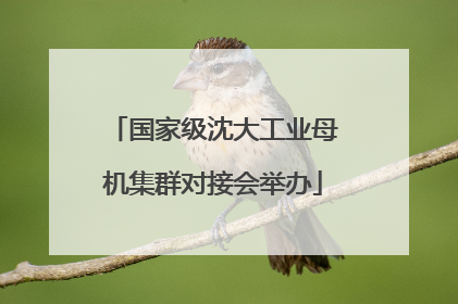 国家级沈大工业母机集群对接会举办