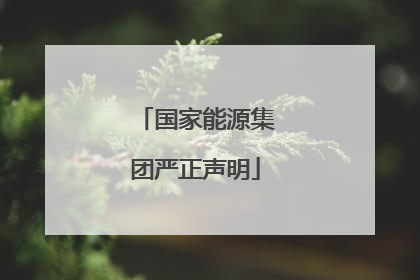 国家能源集团严正声明