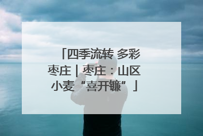 四季流转 多彩枣庄｜枣庄：山区小麦“喜开镰”