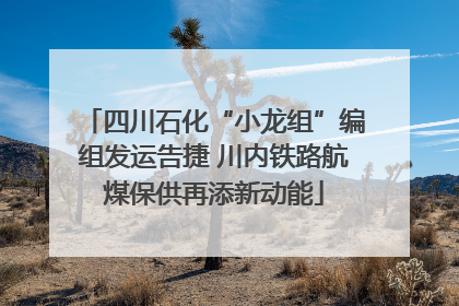 四川石化“小龙组”编组发运告捷 川内铁路航煤保供再添新动能