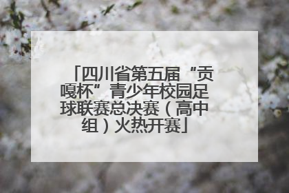 四川省第五届“贡嘎杯”青少年校园足球联赛总决赛（高中组）火热开赛