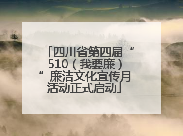 四川省第四届“510（我要廉）”廉洁文化宣传月活动正式启动