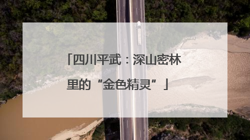 四川平武：深山密林里的“金色精灵”