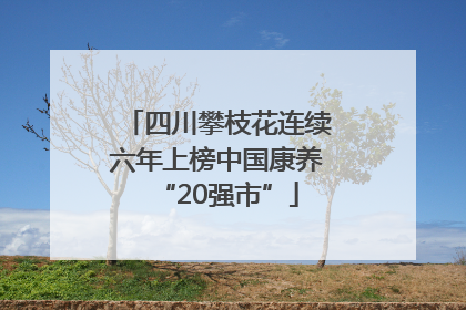 四川攀枝花连续六年上榜中国康养“20强市”