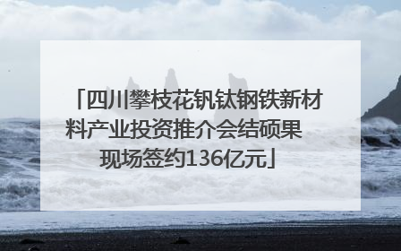 四川攀枝花钒钛钢铁新材料产业投资推介会结硕果 现场签约136亿元