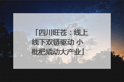 四川旺苍：线上线下双链驱动 小枇杷撬动大产业