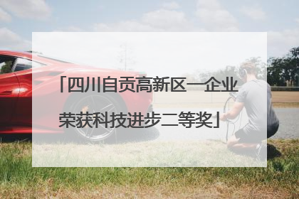 四川自贡高新区一企业荣获科技进步二等奖