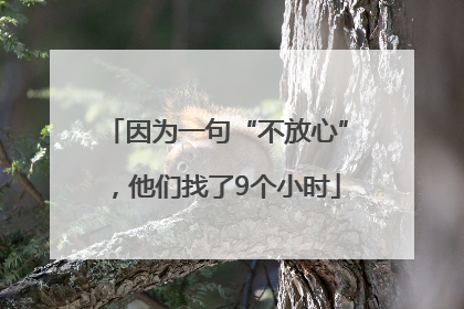 因为一句“不放心”，他们找了9个小时
