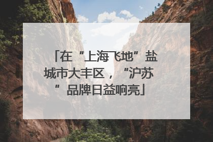 在“上海飞地”盐城市大丰区，“沪苏”品牌日益响亮