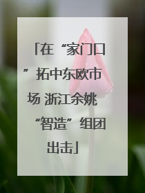 在“家门口”拓中东欧市场 浙江余姚“智造”组团出击
