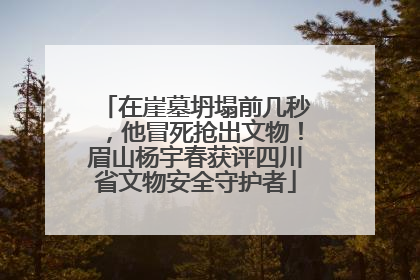在崖墓坍塌前几秒，他冒死抢出文物！眉山杨宇春获评四川省文物安全守护者